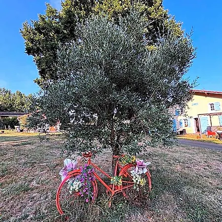 Bed & Breakfast Maison Prats *